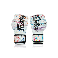 FAIRTEX - Painter Boxing Gloves (BGV14PT) - 10oz