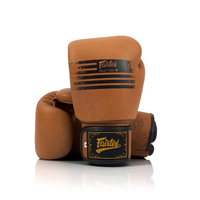 FAIRTEX Legacy Boxing Gloves (BGV21) - 14oz