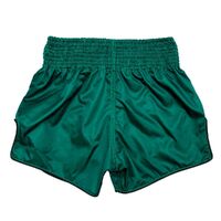 FAIRTEX - "Tonna" Muay Thai Shorts (BS1913) - Small