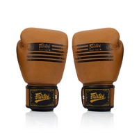 FAIRTEX Legacy Boxing Gloves (BGV21) - 14oz