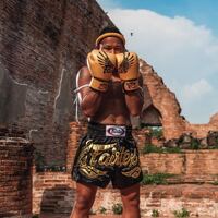 FAIRTEX - Gold Falcon Limited Edition Boxing Gloves (BGV1) - 10oz