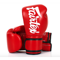 FAIRTEX - BGV14 Microfibre Boxing Gloves (BGV14) - Blue/12oz 