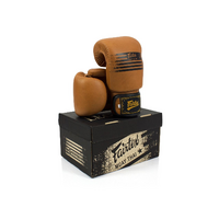 FAIRTEX Legacy Boxing Gloves (BGV21) - 14oz