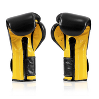 FAIRTEX - "Heavy Hitter" Mexican Style Boxing Gloves (BGV9) - Black/16oz
